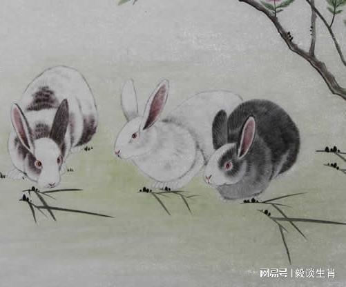 龙到天宫告猴王兔儿飞奔报喜来狗在门前守其是什么生肖，详细解答、专家解答解释落实