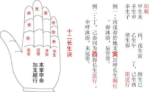 横七坚八五门码该买大来不买小指什么生肖仔细释义、解释与落实、深度解答解释落实