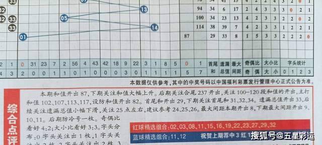 蓝绿特码大数定，一见钟情两疾迷打一最佳准确生肖,警惕虚假宣传落实,详细解答解释落实
