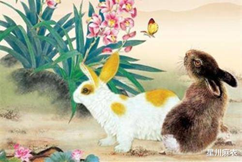 龙到天宫告猴王兔儿飞奔报喜来狗在门前守其是什么生肖，详细解答、专家解答解释落实