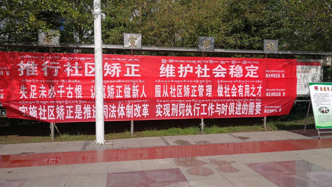 世事无常鼠戏猫是什么生肖，全面释义、详细解答解释落实