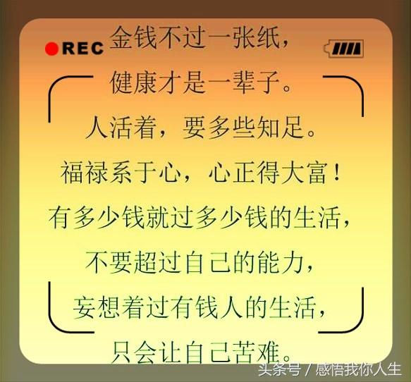 欲钱看放风筝断了线打一最佳准确生肖请全面2释义、解释与落实、科学解答解释落实