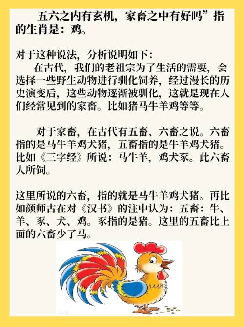 横七坚八五门码该买大来不买小指什么生肖仔细释义、解释与落实、深度解答解释落实